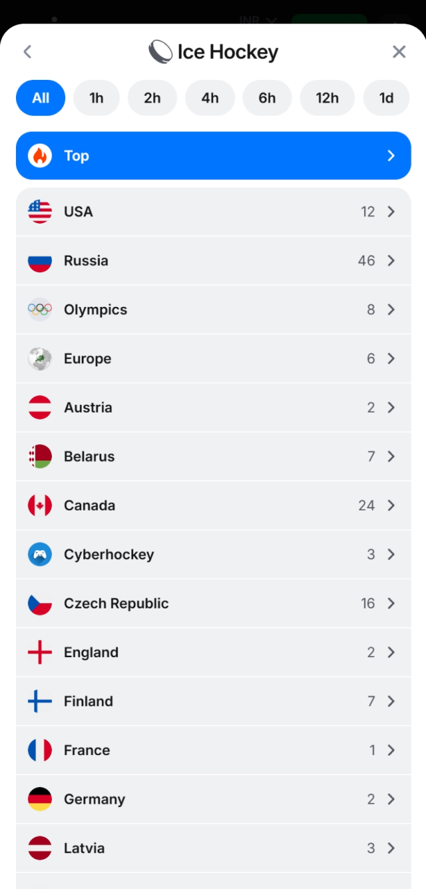 Filter by league or country to see available 1win ice hockey betting options.