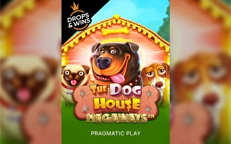 Experience thousands of ways to win with The Dog House Megaways at 1win.